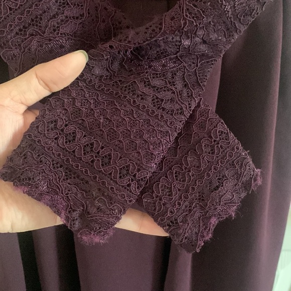 NWT Windsor Secret Obsession Plum Lace Skater dress small - Picture 7 of 9